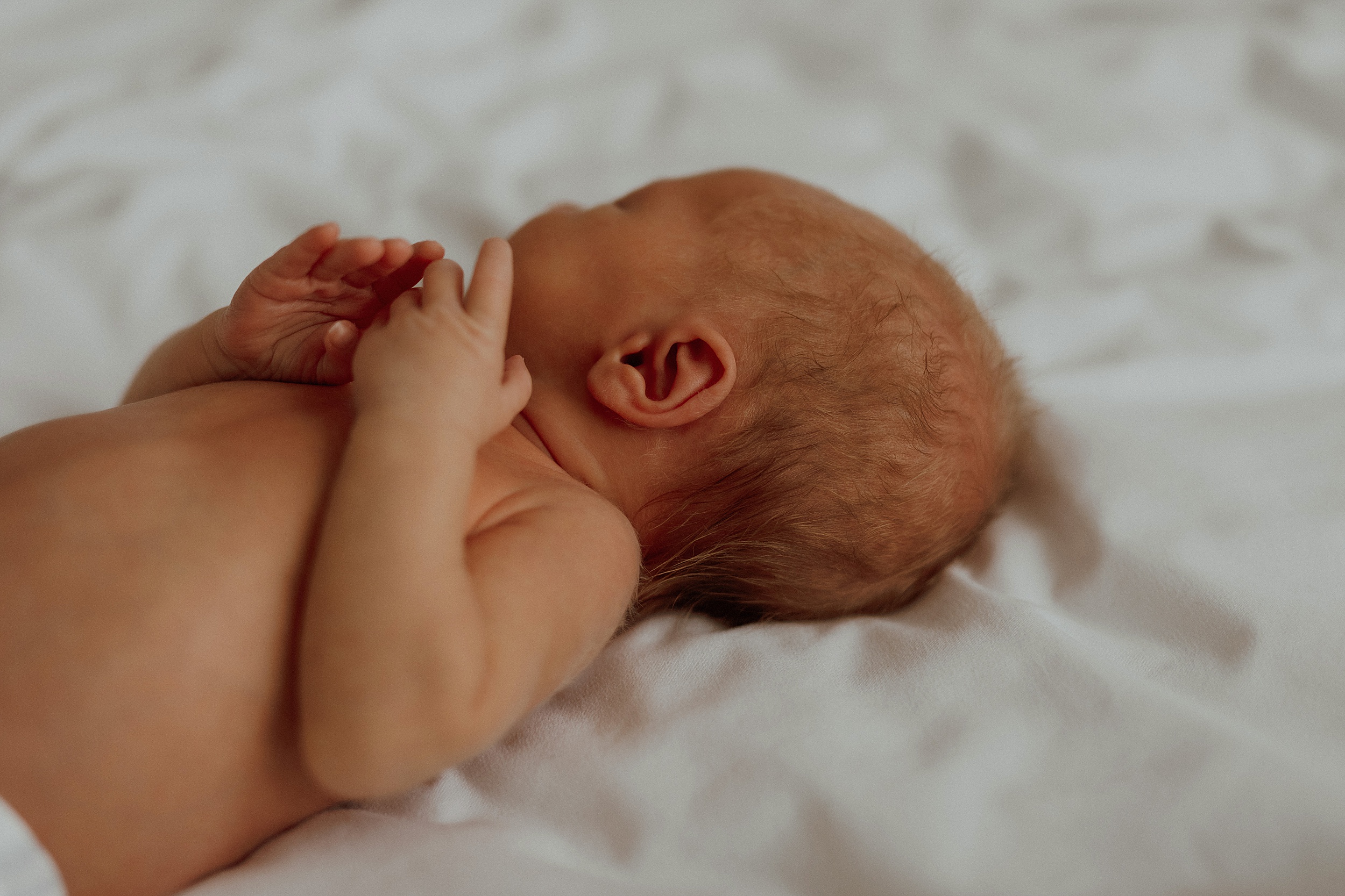 Detail photo of baby's ear and hands at intimate newborn session